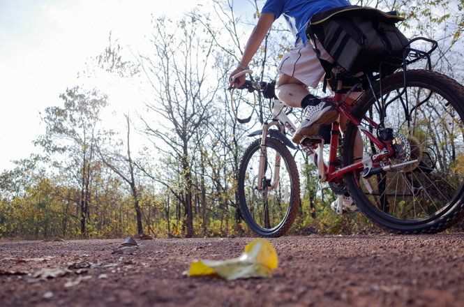 Xe đạp là một lựa chọn thích hợp để tham quan rừng.