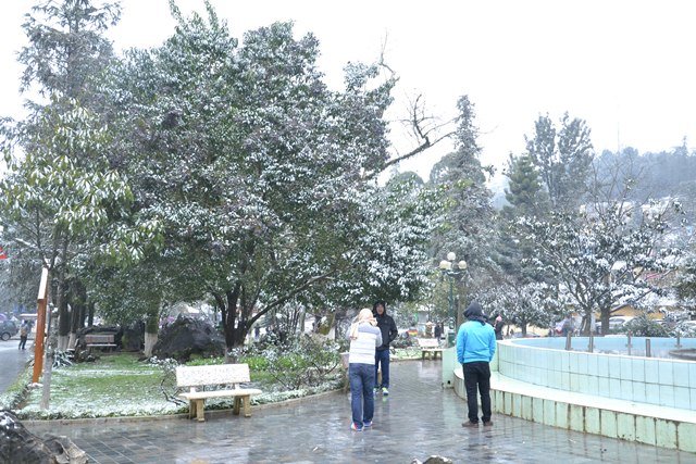 Nhiều du khách bất chấp cái lạnh 0 độ C buổi sớm ra chụp ảnh với tuyết - Ảnh: Hồng Thảo