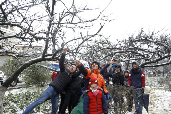 Một nhóm bạn trẻ vui vẻ, thích thú chụp ảnh với tuyết - Ảnh: Nam Trần