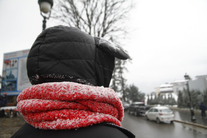 Tuyết vương trên khăng quàng cổ của một du khách đi ngắm tuyết ở Sa Pa - Ảnh: Nam Trần