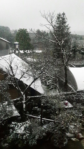Tuyết rơi phủ trắng nóc nhà tại Sapa (Lào Cai) trong ngày 24-1 - Ảnh: Toàn Thắng