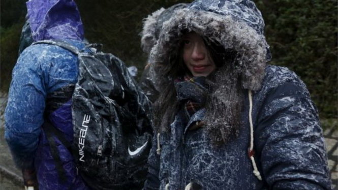 Du khách lên núi Tai Mo Shan cao nhất ở Hong Kong để ngắm tuyết - Ảnh: Reuters