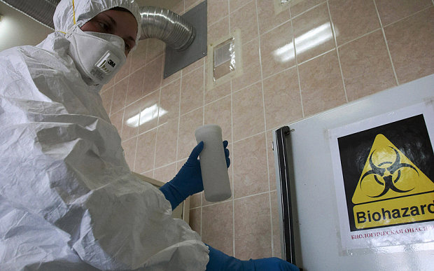 Nhân viên một phòng thí nghiệm ở St. Petersburg xử lý mẫu xét nghiệm có vi rút cúm heo - Ảnh: AFP