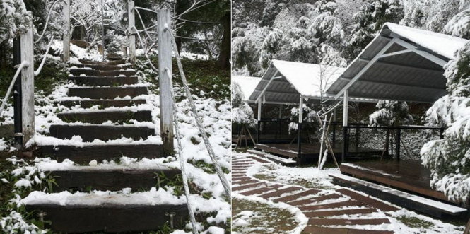 Tuyết phủ trắng sự vật ở Đài Loan - Ảnh: ABC/Twitter