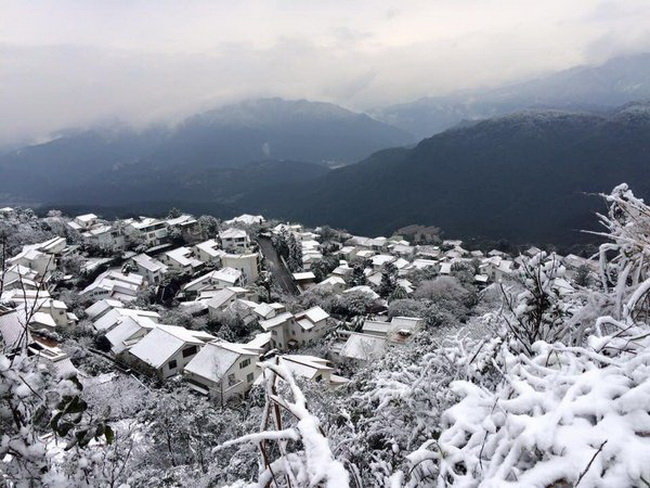 Nhà cửa, cây cối... chìm trong tuyết ở Đài Loan - Ảnh: ABC/Twitter