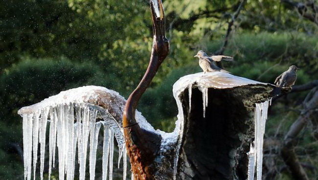 Vòi phun nước đóng thành băng trong một công viên ở Tokyo, Nhật Bản - Ảnh: AFP