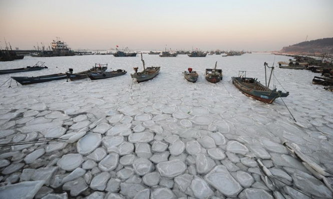 Tàu cá bị mắc kẹt hàng loạt do biển đóng băng ở cảng Xikou, thành phố Yên Đài, tỉnh Sơn Đông, Trung Quốc ngày 26-1 - Ảnh: Tân Hoa xã