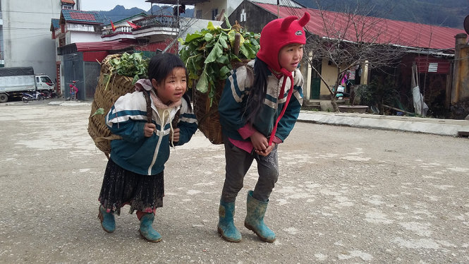 Mặc cho trời giá lạnh, hai em nhỏ ở thị trấn Phố Bảng tranh thủ đi lấy những củ cải bị tuyết vùi về cho gia đình - Ảnh: Quang Thế