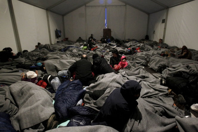 Người tị nạn ngủ trong lều ở biên giới Hi Lap - Macedonia - Ảnh: Reuters