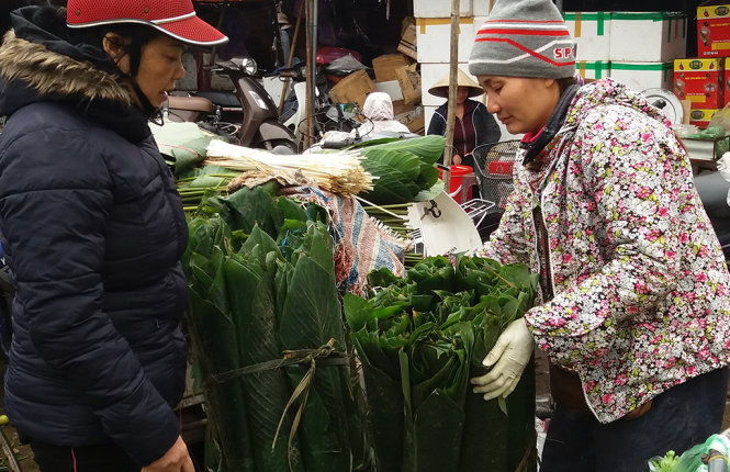 Nhiều người đã tranh thủ mua lá dong về gói bánh chưng