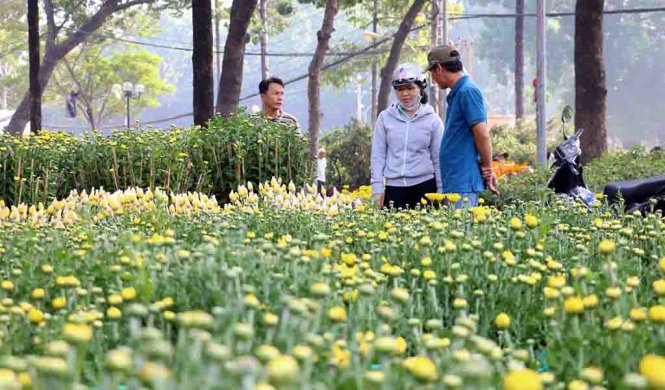Khách chọn mua hoa ở công viên Gia Định - Ảnh: Yến Trinh