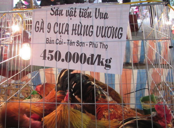 Ảnh gà 9 cựa có giá 450 nghìn đồng/ kg trong khi đó, trên mạng, giá bán rao đắt gấp đôi - Ảnh: Hà Thanh
