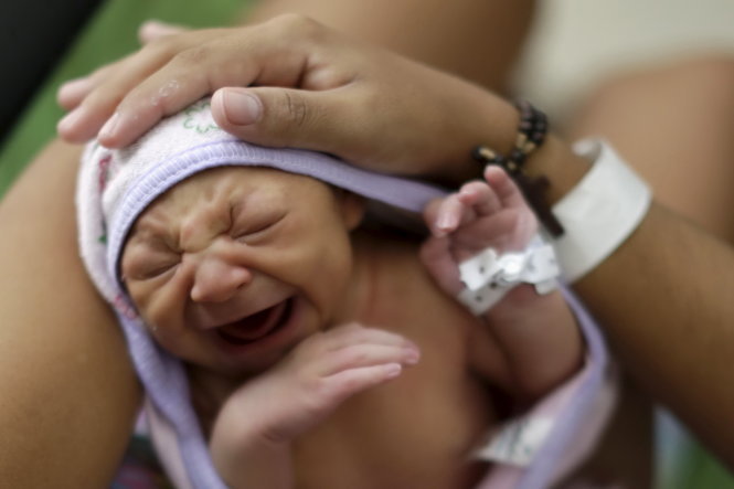 Một bé gái bị teo não được chăm sóc tại bệnh viện ở Recife (Brazil) ngày 28-1 - Ảnh: Reuters