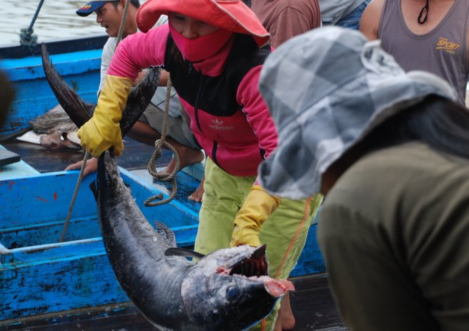 Biển động, tàu về ít nên giá các loại thủy hải sản tại Đà Nẵng tăng mạnh  - Ảnh: Việt Hùng