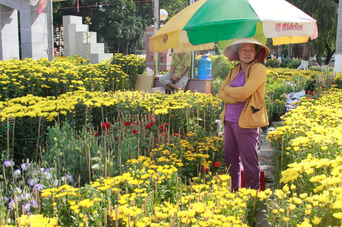 Dù giảm 40-50% giá bán so với vài ngày trước nhưng nhiều sạp hoa kiểng vẫn vắng khách mua - Ảnh: Nguyễn Trí