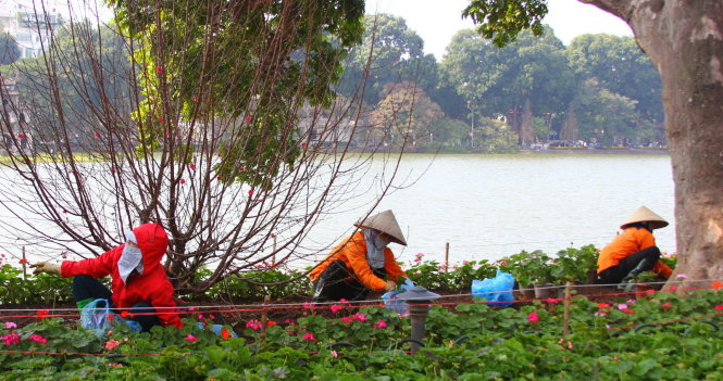 Tuy thời tiết giá rét, nhiều chị công nhân vẫn đang tỉ mẩn chăm sóc vườn hoa xung quanh Hồ Gươm. 