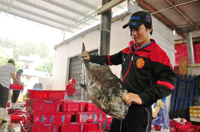 Thuyền trưởng Nguyễn Thanh Biên vui mừng vì phiên biển cuối năm đánh bắt toàn cá lớn - Ảnh: Trần Mai