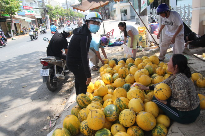 Dưa vàng ngày thường chỉ khoảng 3.000 đồng – 5.000 đồng/kg nhưng nay cũng được bán với giá 15.000 đồng/kg - Ảnh: MẬU TRƯỜNG