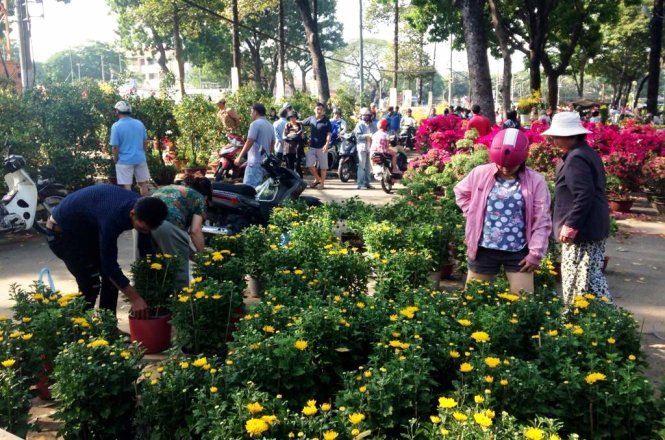 Người dân đi “săn” hoa giá rẻ từ sáng sớm - Ảnh: Đại Việt
