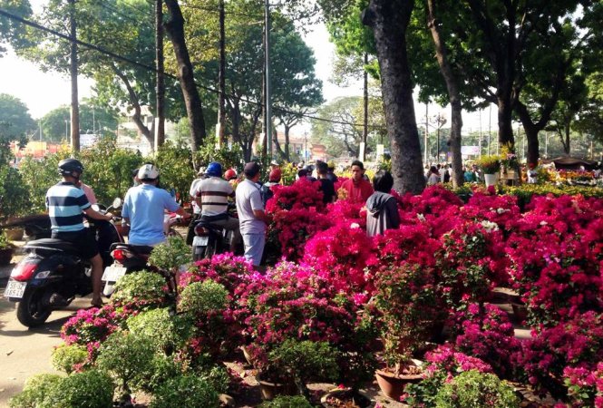 Chợ hoa xuân tấp nập hơn những ngày trước - Ảnh: Đại Việt