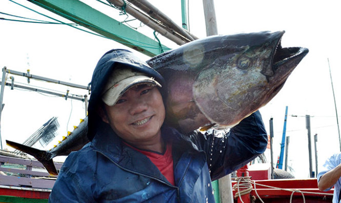 Bốc cá ngừ đại dương từ tàu lên cảng cá Phú Lạc sáng 13-2 - Ảnh: Duy Thanh