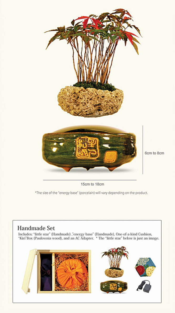 Một “air bonsai” (phía trên) được đóng hộp đầy đủ khi gửi đến khách hàng (hình dưới) 
- Ảnh: kickstarter.com