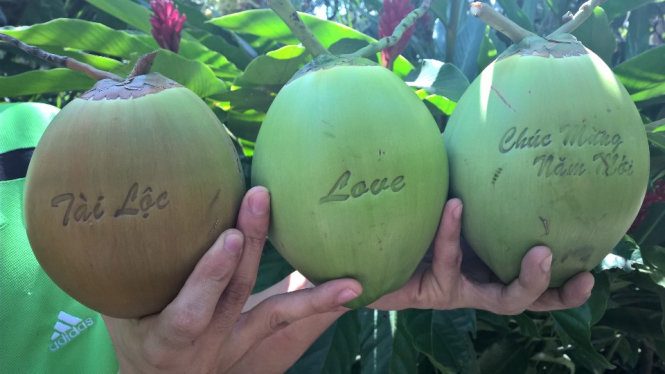 Những trái dừa được in chữ có giá 300.000 đồng/ trái