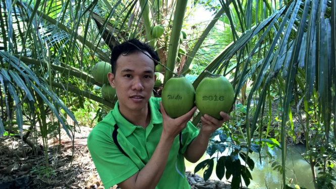 Anh Huỳnh Thanh Tâm với những trái dừa in chữ độc đáo do chính anh làm ra