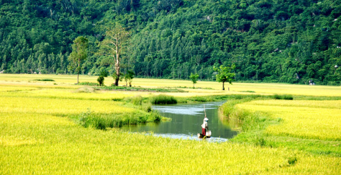 Một cảnh đẹp dưới chân đèo Cả (huyện Đông Hòa, Phú Yên) - Ảnh: Dương Thanh Xuân