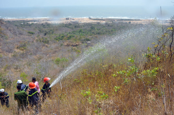 Cảnh sát PCCC Bà Rịa- Vũng Tàu phun nước dập lửa cháy âm ỉ trong các lùm cây - Ảnh: Đông Hà.