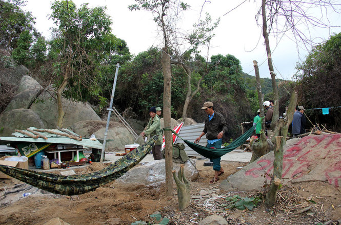 Đến chiều 25-2, lán trại xây dựng trái phép ở tiểu khu 62, bán đảo Sơn Trà (TP Đà Nẵng) đã được tháo dỡ - Ảnh: Trường Trung
