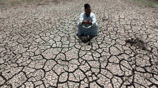 Một người nông dân Ai Cập đang ngồi xổm trên mặt ruộng nứt nẻ vì hạn, cánh đồng này trước đây từng có nguồn nước sông Nile cung cấp để canh tác - Ảnh: Reuters