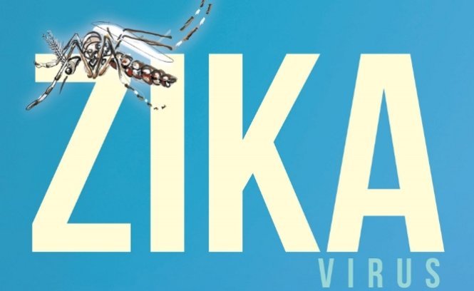 Virút Zika có liên quan tổn thương não thai nhi - Ảnh: Paho