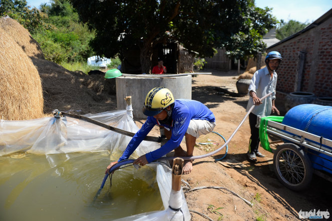 Anh Nguyễn Thanh Long ở xã An Hiệp, huyện Ba Tri, tỉnh Bến Tre tìm được một mạch nước ngầm vừa dùng để sinh hoạt gia đình vừa bán cho bà con xung quanh - Ảnh: Hữu Khoa