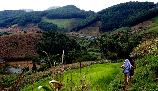 Cảnh quan trên đường trekking quanh bản Hua Tat CBT Hua Tạt, huyện Vân Hồ, Sơn La