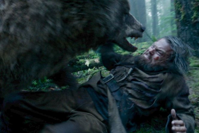 Cảnh chiến đấu giật gân của tài tử Leonardo và chú gấu giả trongThe Revenant. Ảnh ABC