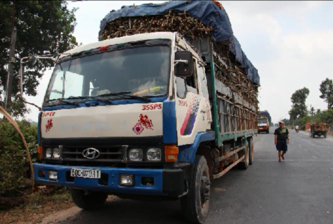 Xe quá tải chạy qua địa phận tỉnhTây Ninh - Ảnh: Chế Thân