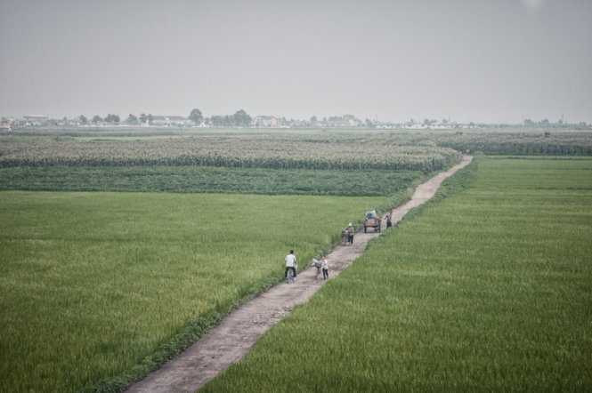 Khung cảnh nông thôn Triều Tiên