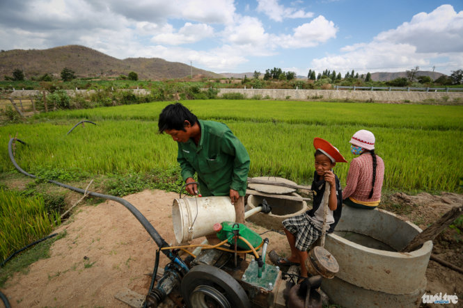 Giữa trưa, gia đình anh Ksor Suất (thôn Lao, xã Chư Gu, huyện Krông Pa, Gia Lai) tranh thủ vét nước trong giếng để tưới cho ruộng lúa đang khô cạn - Ảnh: Tiến Thành