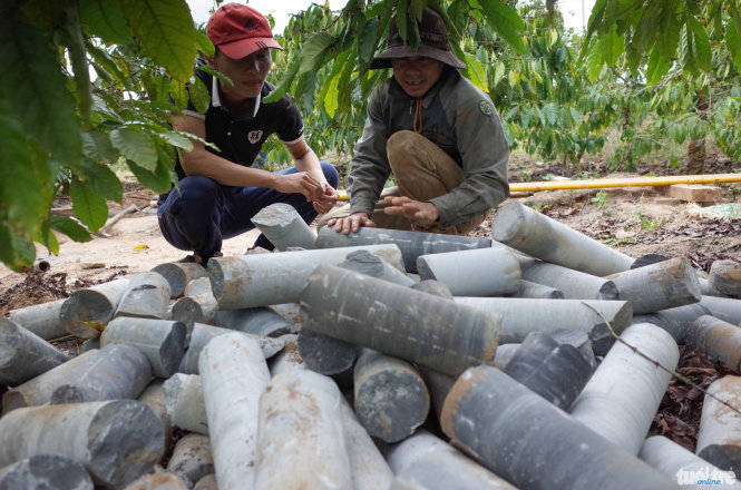 Sông Krông Năng đang cạn kiệt, anh Ngô Văn Hoa (thôn Xuân Trường, xã Phú Xuân, huyện Krông Năng) thuê thợ khoan giếng lấy nước tưới cho 500 trụ hồ  tiêu. Trong ảnh: Lớp đá ở độ sâu 35m được lấy lên từ giếng khoan tại rẫy nhà anh Hoa - Ảnh: Huyền Trang