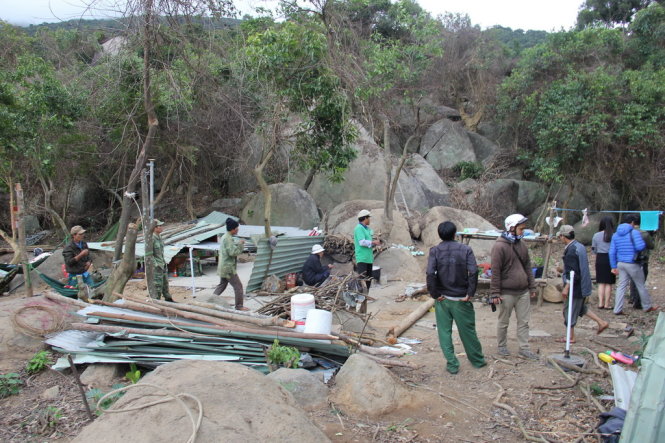 Khu vực rừng ở tiểu khu 62 bán đảo Sơn Trà (Đà Nẵng) bị xâm hại - Ảnh: TRƯỜNG TRUNG