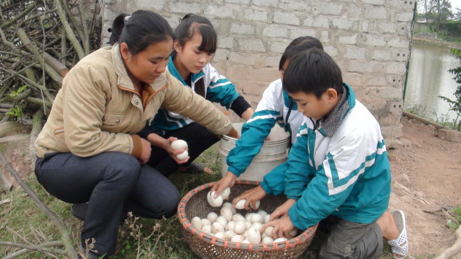 Chị Phạm Thị Tươi mong được giúp vốn mua thêm vịt chăn để kiếm tiền lo cho ba con - Ảnh: Quang Thế