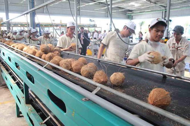 Hhà máy Thành Thành Công là nhà máy đầu tiên tại Việt Nam áp dụng công nghệ UHT tiên tiến của châu Âu trong dây chuyền sản xuất nước dừa đóng hộp - Ảnh: Mậu Trường