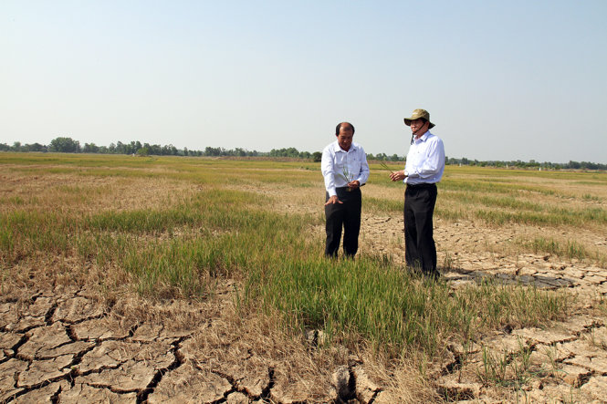Nhờ tổ chức các biện pháp chống hạn, mặn có hiệu quả nên chỉ có khoảng 2.000ha lúa ở tỉnh Tiền Giang bị thiệt hại. Tỉnh cứu được tới 27.000ha lúa, trị giá gần 900 tỉ đồng (V.TR.)
