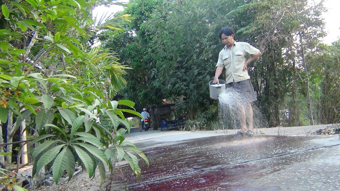 Người dân liên tục tưới lộ để tẩy rửa hóa chất - Ảnh: Ngọc Tài