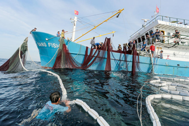 Tàu vỏ thép Sang Fish 01 đánh bắt thủy hải sản trong chuyến ra khơi đầu tiên trên vùng biển vịnh Bắc bộ tháng 8-2014 - Ảnh: Tiến Thành