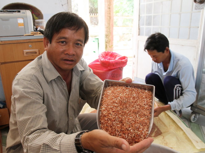 Gạo ngọc đỏ hương dứa của HTX nông nghiệp Định An, huyện Lấp Vò (Đồng Tháp) sản xuất theo quy trình hữu cơ. Đây là gạo có hàm lượng dinh dưỡng cao được xuất sang EU - Ảnh: Vân Trường