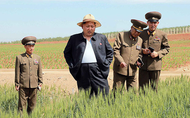 Ông Kim Jongun tới thăm một trại nghiên cứu giống lúa - Ảnh Rodong SinmunEPA