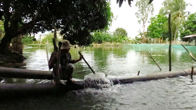 Nông dân chờ con nước lớn để bơm lấy nước vào ao nuôi cá - Ảnh: Đ.VỊNH