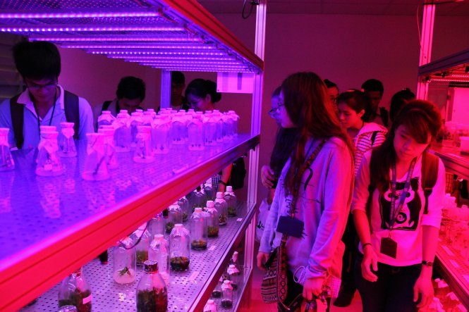 Sinh viên tham quan Phòng thí nghiệm ứng dụng LED trong nông nghiệp-CNSH. Ảnh HCMUS
